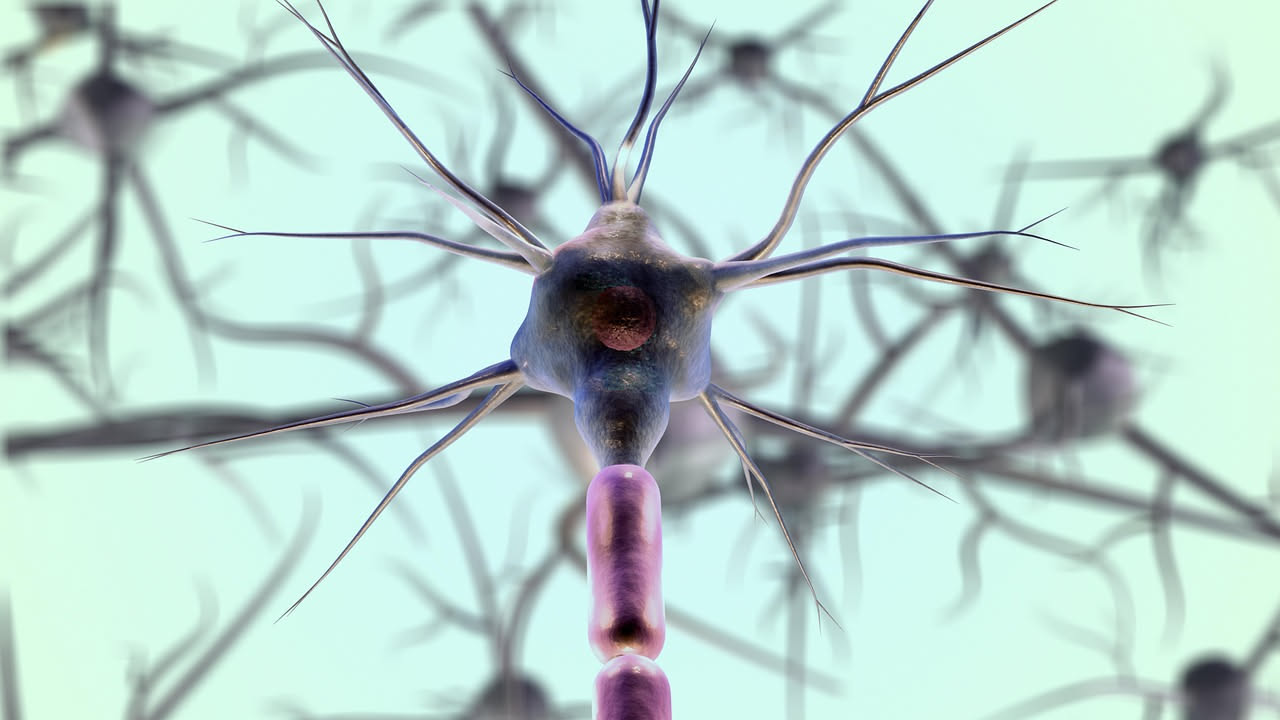 La scienza dietro il legame olfatto-cervello